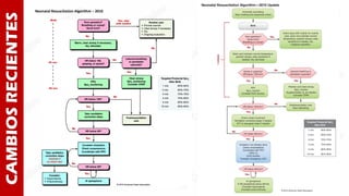CAMBIOSRECIENTES Neonatal Resuscitation Algorithm – 2010
 
