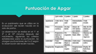 Puntuación de Apgar
Es un parámetro que se utiliza en la
evaluación del recién nacido en la
sala de partos.
La observación se realiza en el 1°, el
5° y el 10° minutos después del
nacimiento, siguiendo los criterios
establecidos para la puntuación. Se
otorgan puntuaciones de 0 a 2 según
la observación del recién nacido.
 