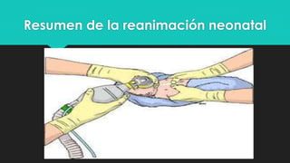 Resumen de la reanimación neonatal
 