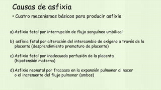 Causas de asfixia
• Cuatro mecanismos básicos para producir asfixia
a) Asfixia fetal por interrupción de flujo sanguíneo umbilical
b) asfixia fetal por alteración del intercambio de oxígeno a través de la
placenta (desprendimiento prematuro de placenta)
c) Asfixia fetal por inadecuada perfusión de la placenta
(hipotensión materna)
d) Asfixia neonatal por fracaaso en la expansión pulmonar al nacer
o el incremento del flujo pulmonar (ambos)
 