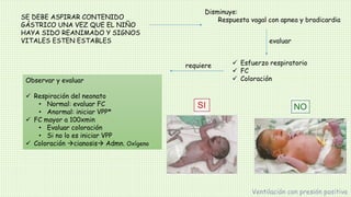 SE DEBE ASPIRAR CONTENIDO
GÁSTRICO UNA VEZ QUE EL NIÑO
HAYA SIDO REANIMADO Y SIGNOS
VITALES ESTEN ESTABLES
Disminuye:
Respuesta vagal con apnea y bradicardia
 Esfuerzo respiratorio
 FC
 Coloración
evaluar
requiere
Observar y evaluar
 Respiración del neonato
• Normal: evaluar FC
• Anormal: iniciar VPP*
 FC mayor a 100xmin
• Evaluar coloración
• Si no lo es iniciar VPP
 Coloración cianosis Admn. Oxígeno
Ventilación con presión positiva
 