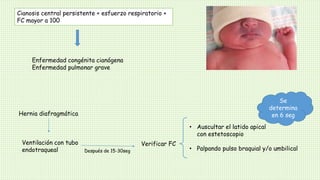 Cianosis central persistente + esfuerzo respiratorio +
FC mayor a 100
Enfermedad congénita cianógena
Enfermedad pulmonar grave
Hernia diafragmática
Ventilación con tubo
endotraqueal Después de 15-30seg
Verificar FC
• Auscultar el latido apical
con estetoscopio
• Palpando pulso braquial y/o umbilical
Se
determina
en 6 seg
 
