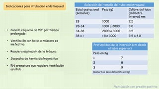 Indicaciones para intubación endotraqueal
• Cuando requiera de VPP por tiempo
prolongado
• Ventilación con bolsa o máscara es
inefectiva
• Requiera aspiración de la tráquea
• Sospecha de hernia diafragmática
• RN prematuro que requiera ventilación
asistida
Ventilación con presión positiva
Selección del tamaño del tubo endotraqueal
Edad gestacional
(semanas)
Peso (g) Calibre del tubo
(diámetro
interno) mm
28 1000 2.5
28-34 1000 a 2000 3.0
34-38 2000 a 3000 3.5
38 o > > De 3000 3.5 a 4.0
Profundidad de la inserción (cm desde
el labio superior)
Peso en Kg
1 7
2 8
3 9
(sumar 6 al peso del nonato en Kg)
 