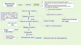 Reanimación
neonatal
Acciones dirigidas a coadyuvar a
una adecuada transición de la vida
intrauterina a la extrauterina del
individuo, con el propósito de
evitar o disminuir los fenómenos
secundarios de la asfixia perinatal
o al nacer.
a) Asfixia fetal por interrupción de flujo sanguíneo umbilical
b) asfixia fetal por alteración del intercambio de oxígeno a través de la
placenta
c) Asfixia fetal por inadecuada perfusión de la placenta
d) Asfixia neonatal por fracaaso en la expansión pulmonar al nacer
o el incremento del flujo pulmonar
asfixiaempleado
Producida por
4mecanismos
En sala de parto atendido por:
equipo obstétrico y pediatra
Cuna de calor radiante
Despejar vía aerea
Coloca al bebé
Identifican factores
de riesgo
Aspirar secreciones
1 boca
2 nariz
Meconio en líquido amniótico
Aspirar en canal de parto
Masaje cardiaco
• Pulgar
• A dos dedos
Si hay
Intubación
Estimulación táctil
técnica
No respira
• Percutir plantas
• Palmadas en espalda
• Frotar espalda Administración de medicamentos
 
