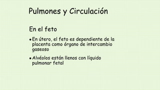 Pulmones y Circulación
En el feto
 En útero, el feto es dependiente de la
placenta como órgano de intercambio
gaseoso
 Alvéolos están llenos con líquido
pulmonar fetal
 