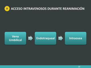 ACCESO INTRAVENOSOS DURANTE REANIMACIÓN
Vena
Umbilical
Endotraqueal Intraosea
20
D
 