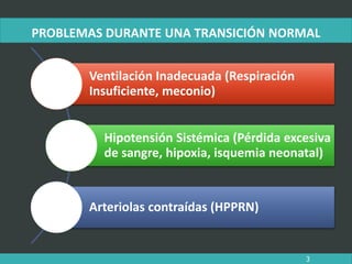 PROBLEMAS DURANTE UNA TRANSICIÓN NORMAL
3
Ventilación Inadecuada (Respiración
Insuficiente, meconio)
Hipotensión Sistémica (Pérdida excesiva
de sangre, hipoxia, isquemia neonatal)
Arteriolas contraídas (HPPRN)
 