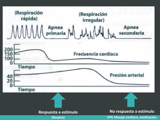 Respuesta a estímulo No respuesta a estímulo
(Respira) VPP, Masaje cardiaco, medicación
 