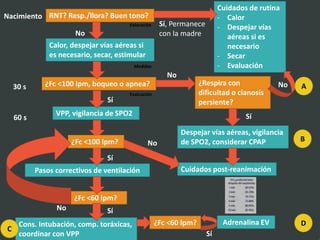 Nacimiento
30 s
60 s
RNT? Resp./llora? Buen tono?
Cuidados de rutina
- Calor
- Despejar vías
aéreas si es
necesario
- Secar
- Evaluación
Sí, Permanece
con la madreNo
Calor, despejar vías aéreas si
es necesario, secar, estimular
¿Fc <100 lpm, boqueo o apnea?
No
¿Respira con
dificultad o cianosis
persiente?
No
Sí
VPP, vigilancia de SPO2
Despejar vías aéreas, vigilancia
de SPO2, considerar CPAP
Sí
Cuidados post-reanimación
No
Sí
Pasos correctivos de ventilación
¿Fc <60 lpm?
¿Fc <100 lpm?
Sí
Cons. Intubación, comp. toráxicas,
coordinar con VPP
¿Fc <60 lpm? Adrenalina EV
Sí
No
Evaluación
A
D
C
B
Valoración
Medidas
 