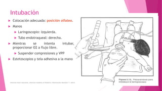 Reanimación neonatal Ecuador MSP | PPTX