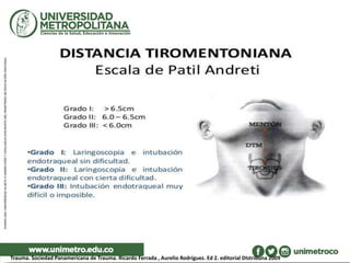 Trauma. Sociedad Panamericana de Trauma. Ricardo Ferrada , Aurelio Rodríguez. Ed 2. editorial DIstribuna 2009
 