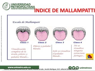 INDICE DE MALLAMPATTI
Trauma. Sociedad Panamericana de Trauma. Ricardo Ferrada , Aurelio Rodríguez. Ed 2. editorial DIstribuna 2009
 