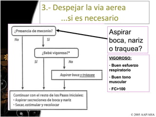 3.- Despejar la via aerea    ...si es necesario Aspirar boca, nariz o traquea? VIGOROSO: Buen esfuerzo respiratorio Buen tono muscular FC>100  © 2005 AAP/AHA 