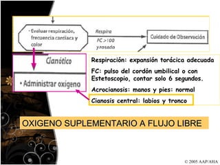 © 2005 AAP/AHA Respiración: expansión torácica adecuada FC: pulso del cordón umbilical o con Estetoscopio, contar solo 6 segundos. Acrocianosis: manos y pies: normal Cianosis central: labios y tronco OXIGENO SUPLEMENTARIO A FLUJO LIBRE 