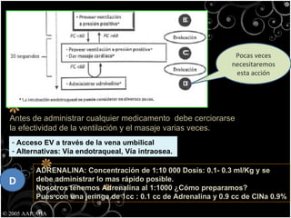 © 2005 AAP/AHA Antes de administrar cualquier medicamento  debe cerciorarse la efectividad de la ventilación y el masaje varias veces.  Acceso EV a través de la vena umbilical Alternativas: Vía endotraqueal, Vía intraosea.  Pocas veces necesitaremos esta acción D ADRENALINA: Concentración de 1:10 000 Dosis: 0.1- 0.3 ml/Kg y se debe administrar lo mas rápido posible. Nosotros tenemos Adrenalina al 1:1000 ¿Cómo preparamos? Pues con una jeringa de 1cc : 0.1 cc de Adrenalina y 0.9 cc de ClNa 0.9% 