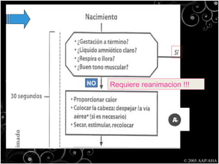 NO Requiere reanimacion !!! © 2005 AAP/AHA 