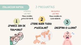 EVALUACION RAPIDA 3 PREGUNTAS
1 2
3
¿PARECE SER DE
TERMINO?
¿TIENE BUEN TODO
MUSCULAR? ¿RESPIRA O LLORA?
si CUMPLE
LAS TRES
Pasos iniciales
junto a la mamá.
NO CUMPLE
LAS TRES
Pasos iniciales en
cuna radiante.
 