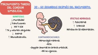 PINZAMIENTO TARDIO
DEL CORDON
UMBILICAL
BENEFICIOS:
Mortalidad
Transfusiones
HIV Y ECN
TA y volumen sanguíneo
Anemia
Neurodesarrollo.
EFECTOS ADVERSOS:
Policitemia
Ictericia
Retraso en la reanimación.
CONTRAINDICACIONES:
-Hemorragia materna.
-RCIU.
-Doppler anormal en arteria umbilical.
-RN no vigoroso.
 