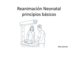 Reanimación Neonatalprincipios básicos Mip Galindo 