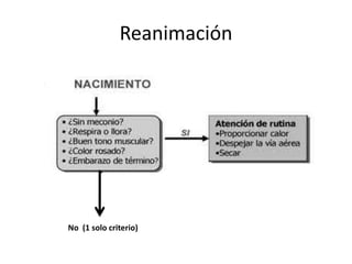 ReanimaciónNo (1 solo criterio)