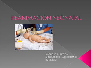 MICHELLE ALARCON
SEGUNDO DE BACHILLERATO
2012-2013
 
