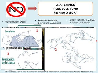 ES A TERMINO
TIENE BUEN TONO
RESPIRA O LLORA
• PROPORCIONAR CALOR
• PONGA EN POSICIÓN ,
• DESPEJE LAS VÍAS AÉREAS
• SEQUE, ESTIMULE Y VUELVA
A PONER EN POSICIÓN
Esfuerzos respiratorios fuertes
Buen tono muscular
Frecuencia cardíaca de más de 100 lpm
MECONIO Y BEBE
NO VIGOROSO
• Introducir
laringoscopio
con catéter
de succión
12 o 14 f
• Introducir el
tubo
endotraqueal
• Succionar
retirando
lentamente
Meconio y bebe
vigoroso
• Utilizar pera de
succion y dejar con la
madre
2
1
3
Kattwinkel J. et al. Libro de Texto de Reanimación Neonatal. 6º ed. American Heart Asocciaton-American Academy of Pediatrics; 2011.
 