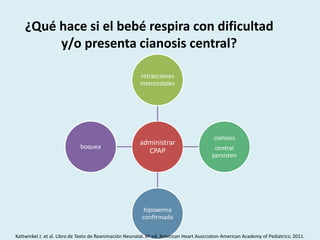 ¿Qué hace si el bebé respira con dificultad
y/o presenta cianosis central?
administrar
CPAP
retracciones
intercostales
cianosis
central
persisten
hipoxemia
confirmada
boquea
Kattwinkel J. et al. Libro de Texto de Reanimación Neonatal. 6º ed. American Heart Asocciaton-American Academy of Pediatrics; 2011.
 