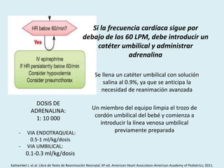 Si la frecuencia cardíaca sigue por
debajo de los 60 LPM, debe introducir un
catéter umbilical y administrar
adrenalina
Se llena un catéter umbilical con solución
salina al 0.9%, ya que se anticipa la
necesidad de reanimación avanzada
Un miembro del equipo limpia el trozo de
cordón umbilical del bebé y comienza a
introducir la línea venosa umbilical
previamente preparada
Kattwinkel J. et al. Libro de Texto de Reanimación Neonatal. 6º ed. American Heart Asocciaton-American Academy of Pediatrics; 2011.
DOSIS DE
ADRENALINA:
1: 10 000
- VIA ENDOTRAQUEAL:
0.5-1 ml/kg/dosis
- VIA UMBILICAL:
0.1-0.3 ml/kg/dosis
 