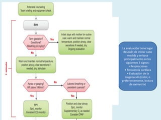 La evaluación tiene lugar
después de iniciar cada
medida y se basa
principalmente en los
siguientes 3 signos:
• Respiraciones
• Frecuencia cardíaca
• Evaluación de la
oxigenación (color, o
preferentemente, lectura
de oximetría)
 