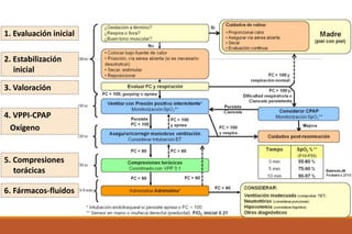 1. Evaluación inicial
2. Estabilización
inicial
3. Valoración
4. VPPI-CPAP
Oxígeno
5. Compresiones
torácicas
6. Fármacos-fluidos
 