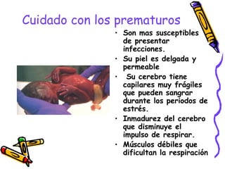 Cuidado con los prematuros
• Son mas susceptibles
de presentar
infecciones.
• Su piel es delgada y
permeable
• Su cerebro tiene
capilares muy frágiles
que pueden sangrar
durante los periodos de
estrés.
• Inmadurez del cerebro
que disminuye el
impulso de respirar.
• Músculos débiles que
dificultan la respiración
 