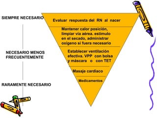 Mantener calor posición,
limpiar vía aérea. estímulo
en el secado, administrar
oxígeno si fuera necesario
Evaluar respuesta del RN al nacer
Establecer ventilación
efectiva. VPP con bolsa
y máscara o con TET
Masaje cardiaco
Medicamentos
SIEMPRE NECESARIO
NECESARIO MENOS
FRECUENTEMENTE
RARAMENTE NECESARIO
 