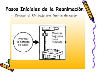 Pasos Iniciales de la Reanimación
• Colocar al RN bajo una fuente de calor
 