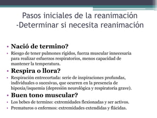 Pasos iniciales de la reanimación
-Determinar si necesita reanimación
• Nació de termino?
• Riesgo de tener pulmones rígidos, fuerza muscular innecesaria
para realizar esfuerzos respiratorios, menos capacidad de
mantener la temperatura.
• Respira o llora?
• Respiración entrecortada: serie de inspiraciones profundas,
individuales o sucesivas, que ocurren en la presencia de
hipoxia/isquemia (depresión neurológica y respiratoria grave).
• Buen tono muscular?
• Los bebes de termino: extremidades flexionadas y ser activos.
• Prematuros o enfermos: extremidades extendidas y flácidas.
 