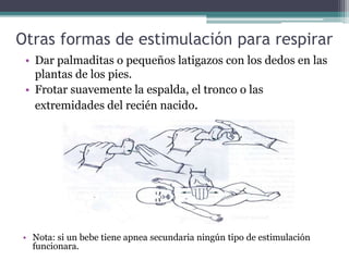 Otras formas de estimulación para respirar
• Dar palmaditas o pequeños latigazos con los dedos en las
plantas de los pies.
• Frotar suavemente la espalda, el tronco o las
extremidades del recién nacido.
• Nota: si un bebe tiene apnea secundaria ningún tipo de estimulación
funcionara.
 
