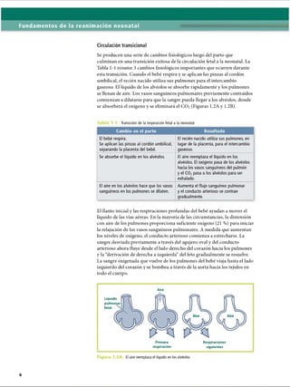Fundamentos de la reanimación neonatal
Circulación transicional
Se producen una serie de cambios fisiológicos luego del parto que
culminan en una transición exitosa de la circulación fetal a la neonatal. La
Tabla 1-1 resume 3 cambios fisiológicos importantes que ocurren durante
esta transición. Cuando el bebé respira y se aplican las pinzas al cordón
umbilical, el recién nacido utiliza sus pulmones para el intercambio
gaseoso. El líquido de los alvéolos se absorbe rápidamente y los pulmones
se llenan de aire. Los vasos sanguíneos pulmonares previamente contraídos
comienzan a dilatarse para que la sangre pueda llegar a los alvéolos, donde
se absorberá el oxígeno y se eliminará el C 02(Figuras 1.2A y 1.2B).
Tabla 1-1. Transición de la respiración fetal a la neonatal
Cambio en el parto Resultado
El bebé respira.
Se aplican las pinzas al cordón umbilical,
separando la placenta del bebé.
El recién nacido utiliza sus pulmones, en
lugar de la placenta, para el intercambio
gaseoso.
Se absorbe el líquido en los alvéolos. El aire reemplaza el líquido en los
alvéolos. El oxígeno pasa de los alvéolos
hacia los vasos sanguíneos del pulmón
y el C02pasa a los alvéolos para ser
exhalado.
El aire en los alvéolos hace que los vasos
sanguíneos en los pulmones se dilaten.
Aumenta el flujo sanguíneo pulmonar
y el conducto arterioso se contrae
gradualmente.
El llanto inicial y las respiraciones profundas del bebé ayudan a mover el
líquido de las vías aéreas. En la mayoría de las circunstancias, la distensión
con aire de los pulmones proporciona suficiente oxígeno (21 %) para iniciar
la relajación de los vasos sanguíneos pulmonares. A medida que aumentan
los niveles de oxígeno, el conducto arterioso comienza a estrecharse. La
sangre desviada previamente a través del agujero oval y del conducto
arterioso ahora fluye desde el lado derecho del corazón hacia los pulmones
y la “derivación de derecha a izquierda” del feto gradualmente se resuelve.
La sangre oxigenada que vuelve de los pulmones del bebé viaja hasta el lado
izquierdo del corazón y se bombea a través de la aorta hacia los tejidos en
todo el cuerpo.
Aire
Líquido
pulmonar
fetal
L
Primera
respiración
Respiraciones
siguientes
J
F ig u r o 1 2 A El aire reemplaza el líquido en los alvéolos.
ERRNVPHGLFRVRUJ
 