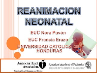 REANIMACION NEONATAL EUC Nora Pavón EUC Francia Erazo UNIVERSIDAD CATOLICA DE HONDURAS 