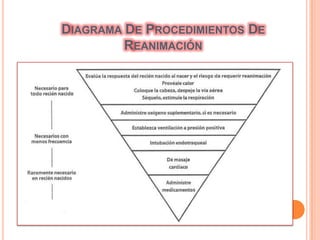 Constricción sostenida de las arteriolas pulmonares.Signos De Un Recién Nacido Comprometido.