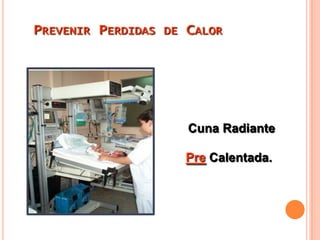 Interrupción De La Transición Normal Apnea PrimariaApnea SecundariaIntentos rápidos para respirar