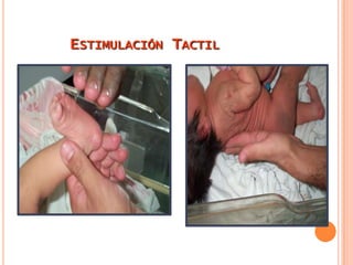 Cese de la respiración.