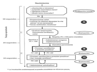 Disminución de la frecuencia cardiaca