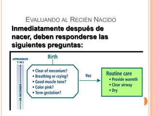 SucciónAspirar primero la boca.Luego la nariz.