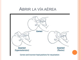 frecuencia cardíaca