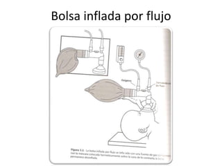 Proporcionar calorPosicionar, limpiar la vía aérea* (si es necesario)Secar, estimular, reposicionarDar oxígeno  (si es necesario )intubación endotraqueal puede ser considerada en estos pasos