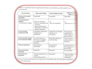Mayor área de superficie corporalPasos adicionalesAumentar la temperatura del ambiente 