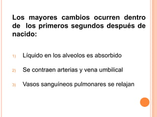 Aumenta el flujo pulmonarPulmones y CirculaciónAl Nacer:Aumentan los niveles de oxigeno sanguíneo