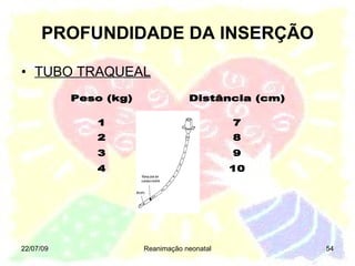 TUBO TRAQUEAL PROFUNDIDADE DA INSERÇÃO 22/07/09 Reanimação neonatal 