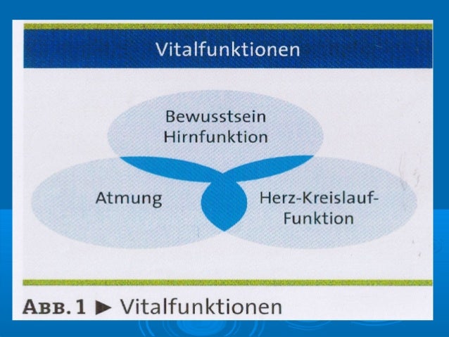 Vitale Funktionen Des Lebens Aufrechterhalten de.slideshare.net