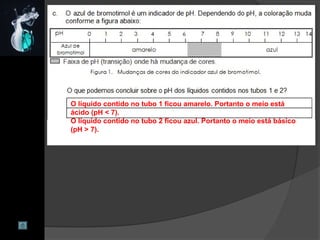 O líquido contido no tubo 1 ficou amarelo. Portanto o meio está
ácido (pH < 7).
O líquido contido no tubo 2 ficou azul. Portanto o meio está básico
(pH > 7).
 