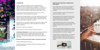 LA ADORACIÓN
Celebre el regreso, pero tenga en cuenta la necesidad de llorar
dependiendo de las circunstancias de su congregación. Fomente la
alabanza y la oración, brinde momentos de testimonio y un sermón que
incite a las personas a aceptar los cambios de la vida que Dios les ha
revelado durante la cuarentena. (Tenga pañuelos desechables a mano)
Si su gente es del mismo hogar, pueden sentarse juntos. (La misma
burbuja social). Considere espaciar a otros grupos.
Recuerde evitar entregar boletines y, en su lugar, proyecte anuncios en las
pantallas. Tampoco permita que la gente venga y recoja boletines de las
mesas. Considere colocar boletines en los bancos o sillas, pero pida a las
personas que se lleven los boletines a sus casas.
Cambie la forma en que ofrece la Santa Cena. Evite pasar un plato o tazón,
asegúrese de que las personas no estén recogiendo de un recipiente
pueden contaminar.
Evite pasar micrófonos en el escenario.
Puede considerar no usar coros en los servicios de adoración.
Las ofrendas o donaciones: Continúe ofreciendo opciones de donaciones
en línea. Tenga estaciones en la iglesia donde la gente pueda dejar
ofrendas en lugar de pasar un plato. Puede colocar buzones, cajas,
canastos, etc. un lugar donde nadie meta la mano que solo deposite sin
tocar nada.
Encuentre una forma divertida de saludar a los demás sin contacto.
Limpie el púlpito después de cada uso.
Considere despedir de una manera ordenada para asegurar que haya
distanciamiento social.
SERVICIOS: CAFÉ, BOLETINES Y DESINFECTANTE
PARA MANOS
Baños: debe decidir si permitirá el uso del baño en
este momento. Si no cree que puede permitirlo,
entonces puede que no sea el momento de regresar
al ediﬁcio.
No repartir boletines. No permita que las personas
pasen y los recojan en mesas.
Recomendamos retener estaciones de café, donas o
comidas grupales en este momento. Evalúe si tiene
las condiciones para servir café y dar de comer,
hágalo si tiene utensilios desechables.
Exhiba desinfectante para manos en toda la iglesia.
Puede ser difícil de obtener en este momento, así que
considere si debe reunirse en persona sin este
elemento.
Proporcione mascarillas para aquellos que no tienen
una o no pueden comprar. Nuevamente, esto puede
ser difícil de obtener, pero puede hacer que la gente
haga mascarillas como un servicio a la iglesia.
Si elige mantener sus baños abiertos, se recomienda
mantener cerradas las puertas y controlar el uso,
asegúrese de colocar carteles sobre cómo lavarse las
manos en los baños con las pautas apropiadas para
hacerlo.
 